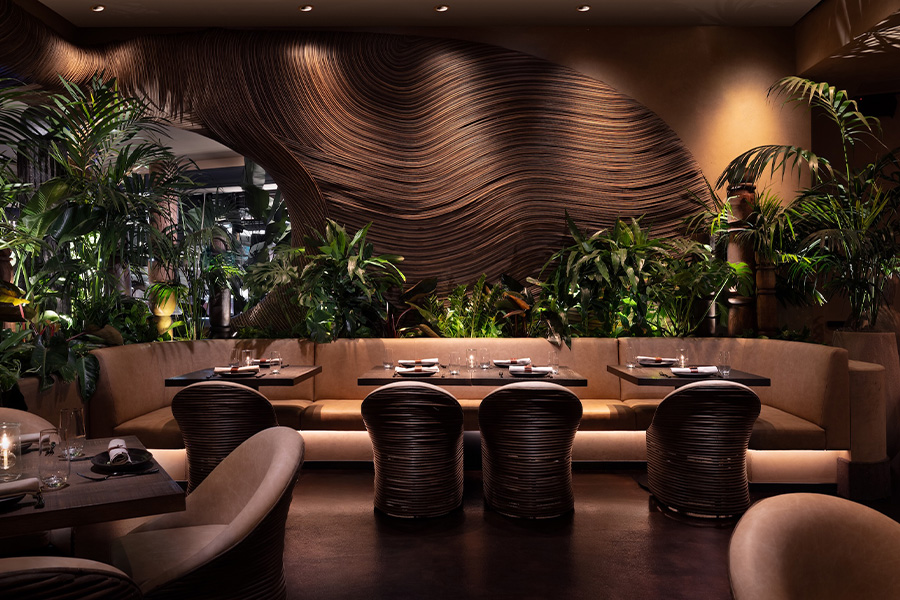 the radical hotel asheville north carolina river arts district afterglow restaurant gold chains around racetrack bar